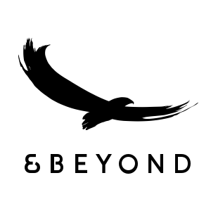 &Beyond Logo