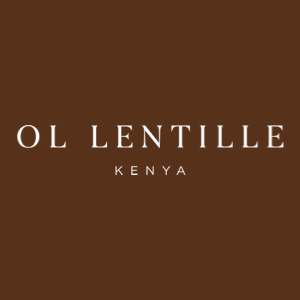 Ol Lentille Logo