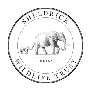 Sheldrick Wildlife Trust Logo